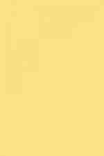 FARROW AND BALL DAYROOM YELLOW NO. 233 PAINT